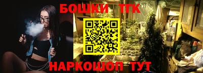прущие крисы Гатчина