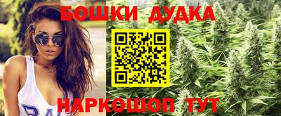 прущая мука Гай