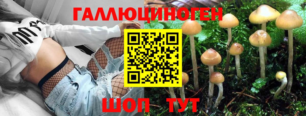 Галлюциногенные грибы Magic Shrooms Среднеуральск